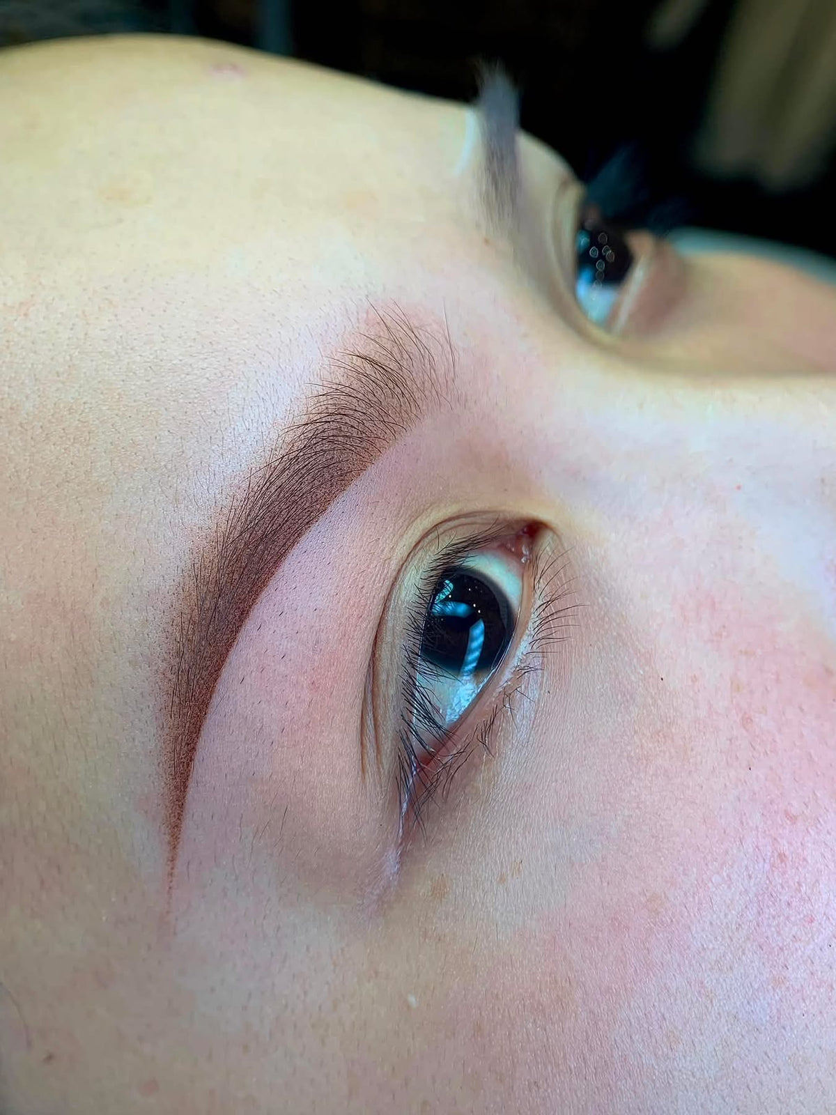 Nano combo brows · $375